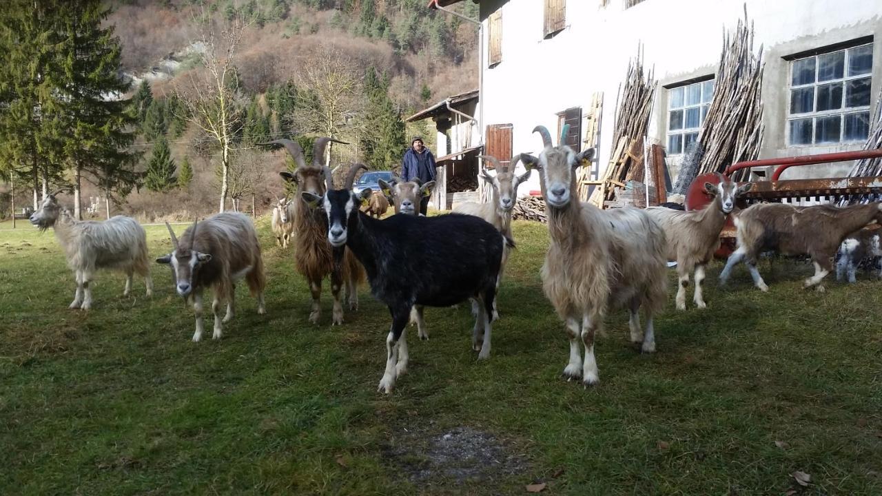 Agriturismo al Marter Tiarno di Sopra Esterno foto